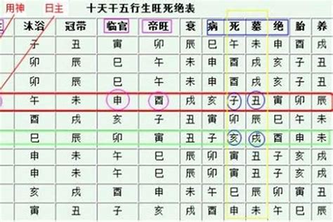 身旺身弱|身旺・身弱いの定義と判定方法：命式を読む 